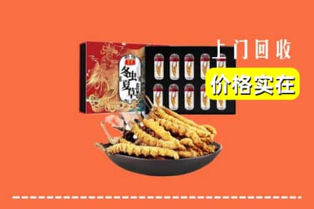 海南区回收冬虫夏草